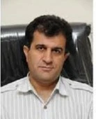 الدكتور سید نجات حسینی