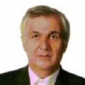 الدكتور علی زرگر