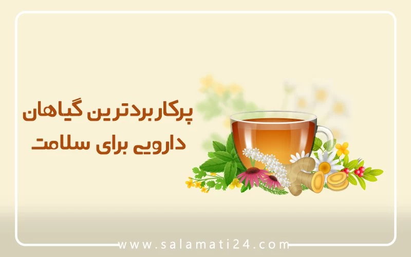 پرکاربردترین گیاهان دارویی برای سلامت