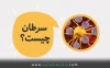 همه چیز درباره سرطان