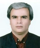 دکتر محمد میرزایی باغابری