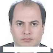 الدكتور ابراهیم محمودی