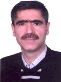 دکتر سعید دانایی