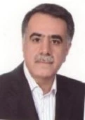 الدكتور حسن رزمی