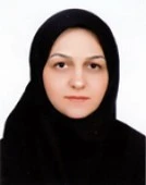 دکتر مه سان سیف الدین