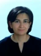 الدكتور د ميسون احمد بشايره