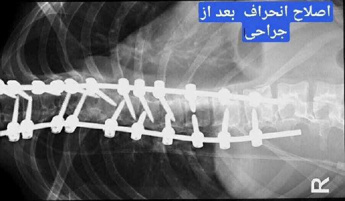 الدكتور حمیدرضا عبداله پور صور العيادة و موقع العمل13