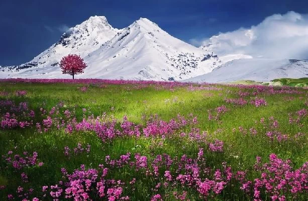 دکتر عمران داوری نژاد تصاویر مطب و محل کار1