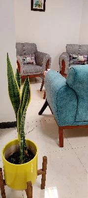 دکتر محمودرضا شرفی تصاویر مطب و محل کار1