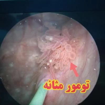 دکتر حمیدرضا باغشاهی تصاویر مطب و محل کار1