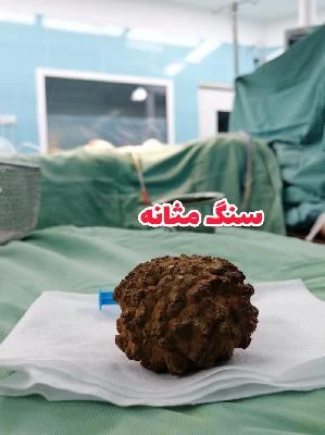 دکتر حمیدرضا باغشاهی تصاویر مطب و محل کار4