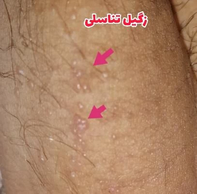 دکتر حمیدرضا باغشاهی تصاویر مطب و محل کار5