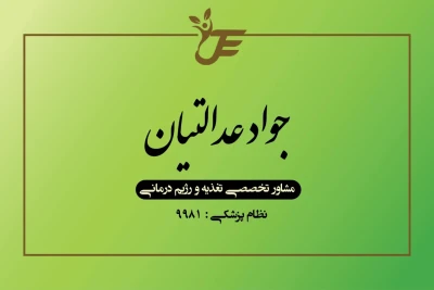کارت ویزی