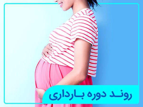 روند دوره بارداری