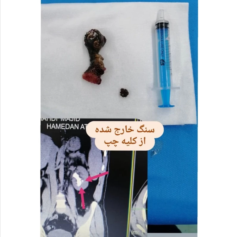 دکتر حمیدرضا باغشاهی