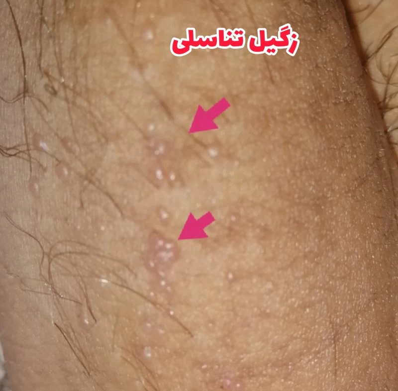 دکتر حمیدرضا باغشاهی