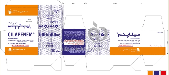 سیلاپنم