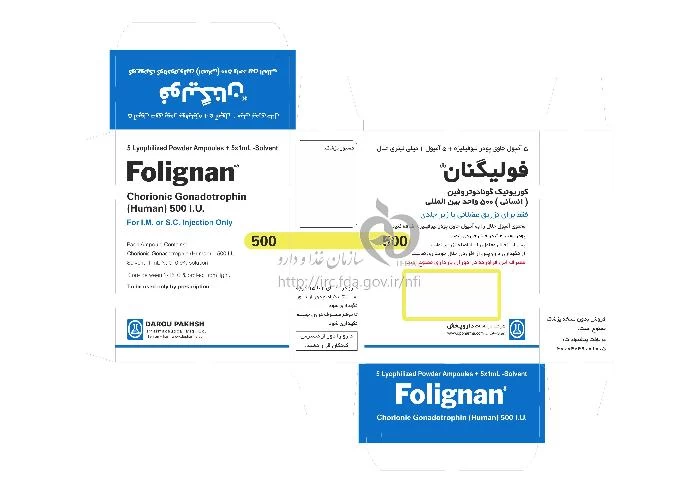 فولیگنان