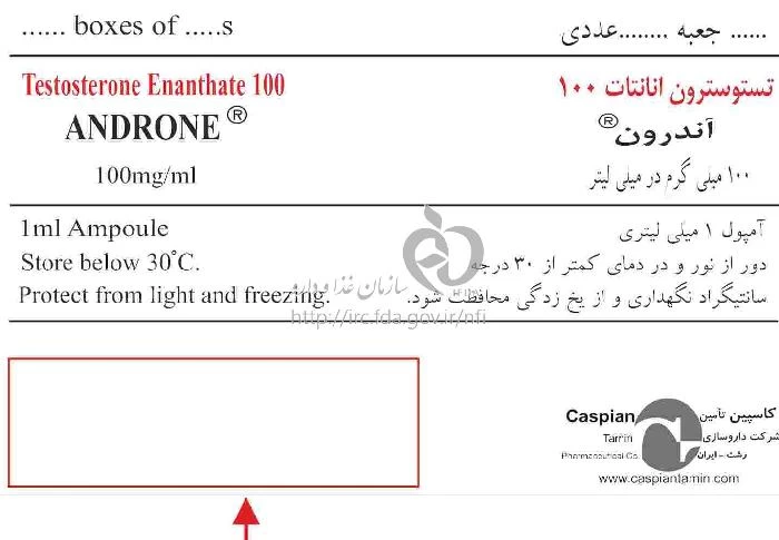 آندرون