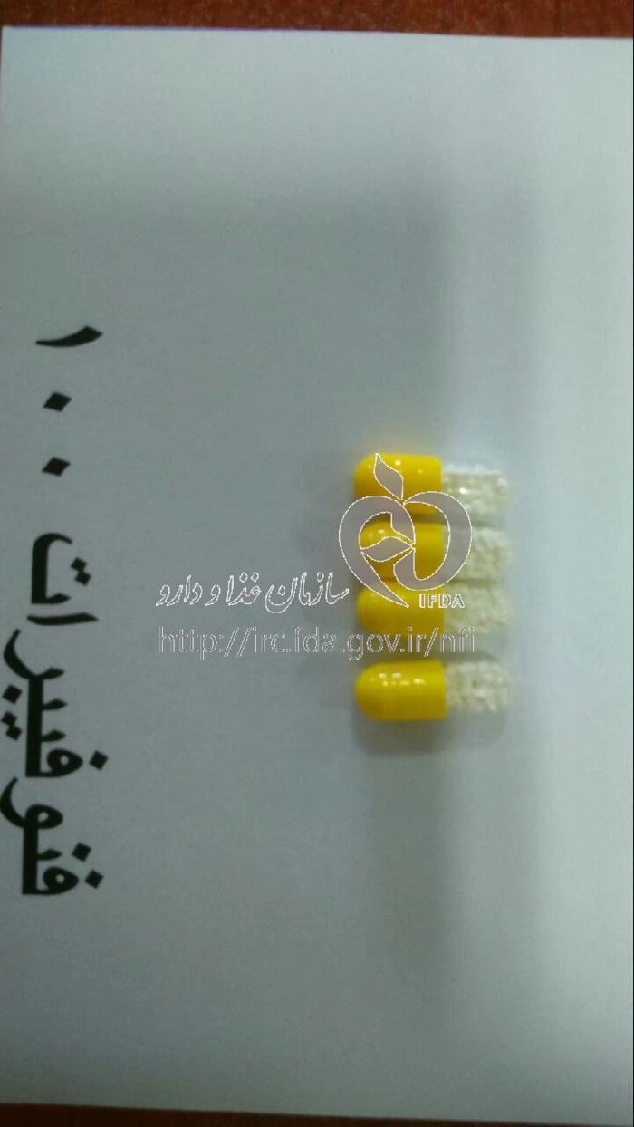 فنولیپین