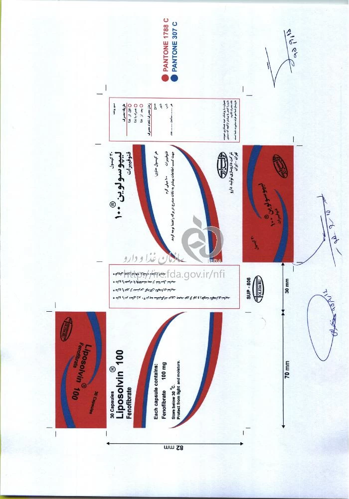 لیپوسولوین