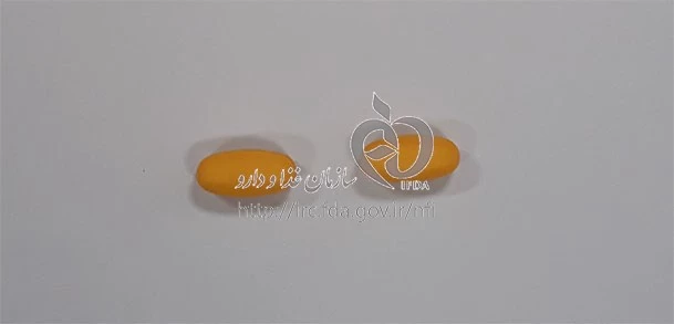 سینوریپا