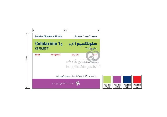 سفوجکت