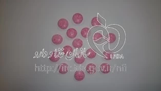 تداگلیز